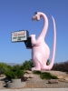 PICTURES/Dinosaur National Monument/t_Pink Dinosaur2.JPG